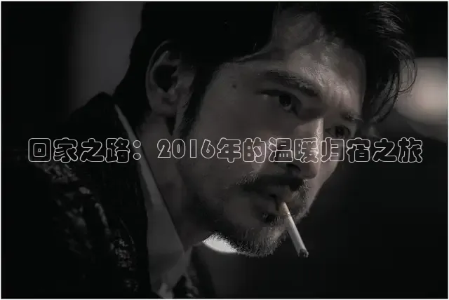 回家之路：2016年的温暖归宿之旅